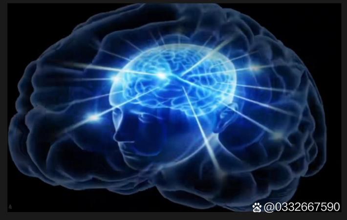 某一线女星被曝整容前后对比照，网友惊呼认不出